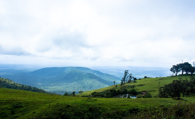 作为刚刚通 作为刚刚通