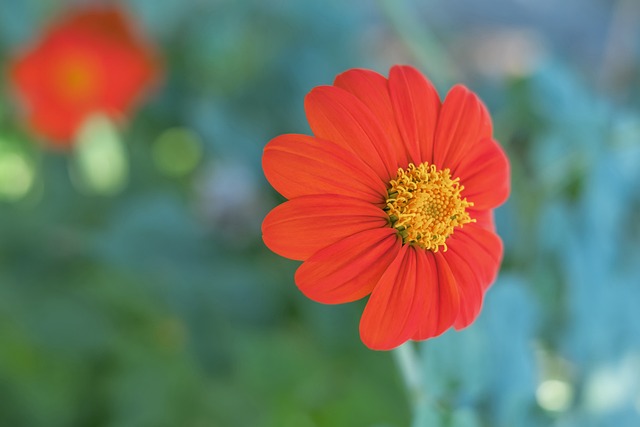 人士猜测的 人士猜测的