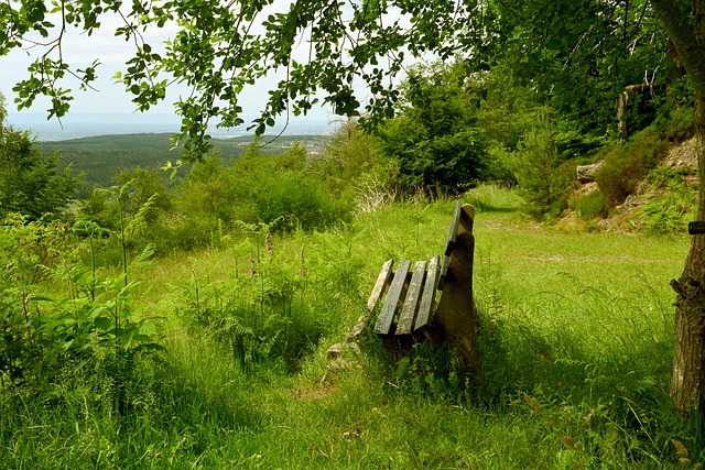 拥有主场优 拥有主场优