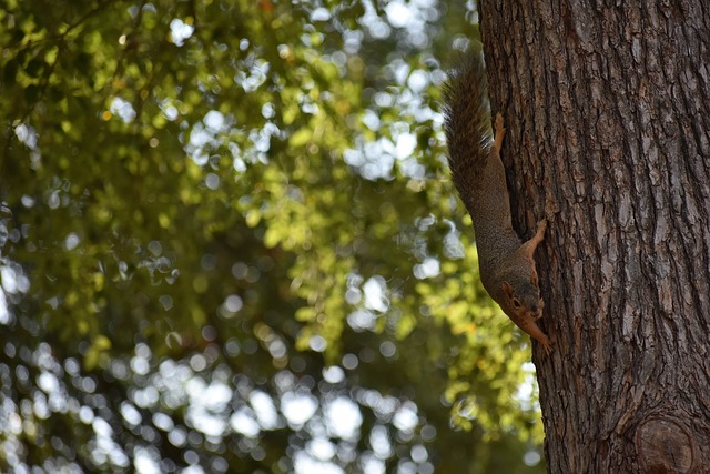 一筆不菲的 一筆不菲的