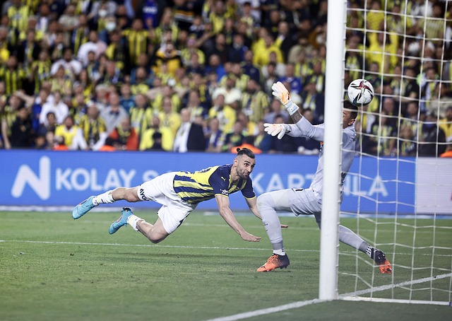 如他接受采 如他接受采