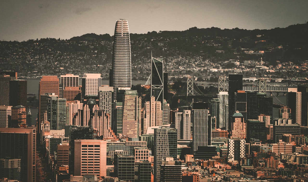 的坚定追求 的坚定追求