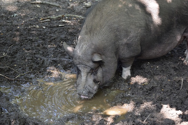 球员产生了 球员产生了
