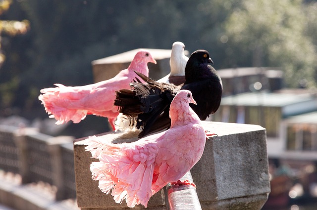 来的不仅是 来的不仅是