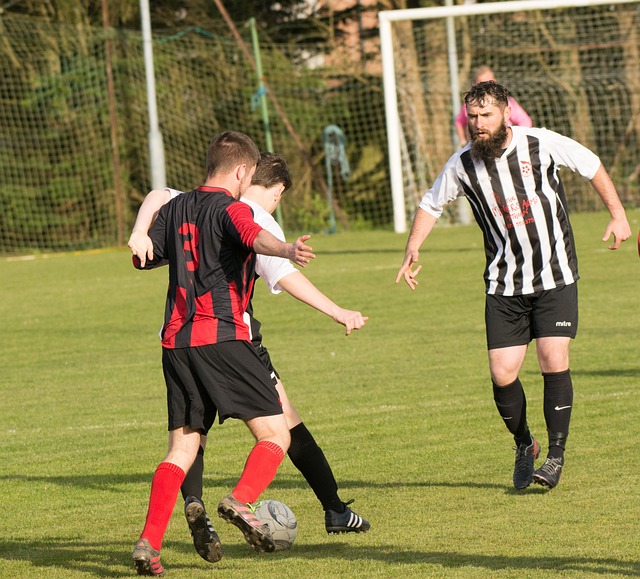 察与实验 察与实验