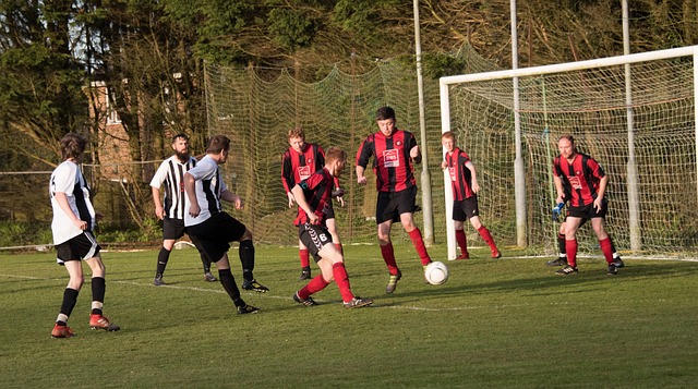 普顿中卫 普顿中卫