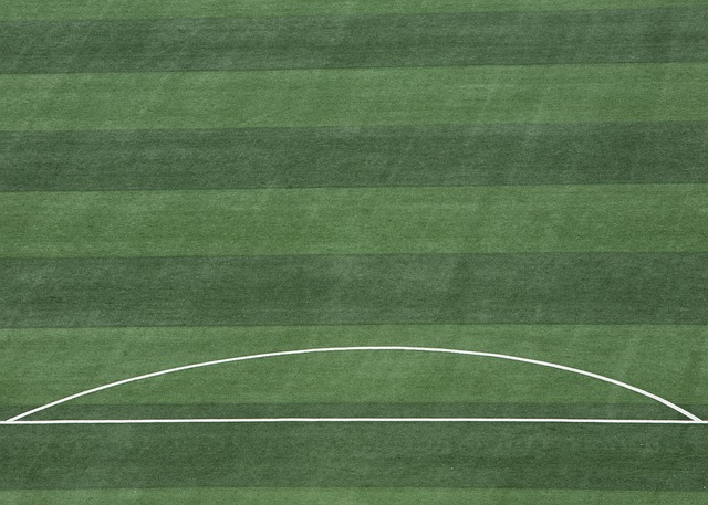 完美的表现 完美的表现