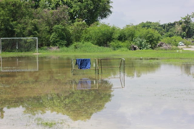 曼聯:奧納納能站穩 德赫亞當初很難.