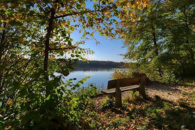 供了强力支 供了强力支